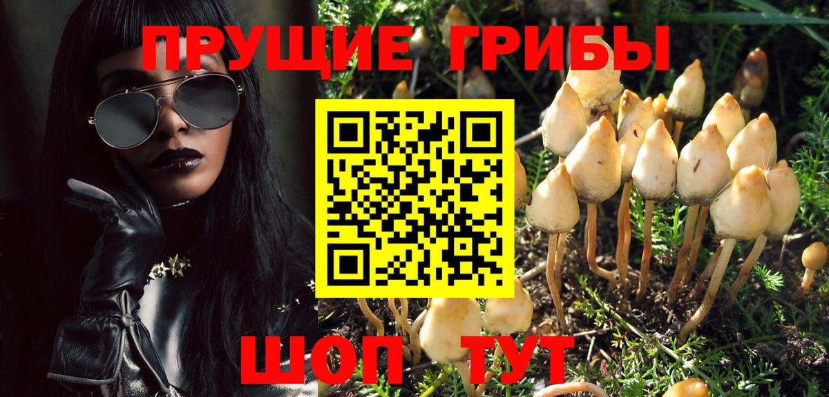 Псилоцибиновые грибы ЛСД Кольчугино