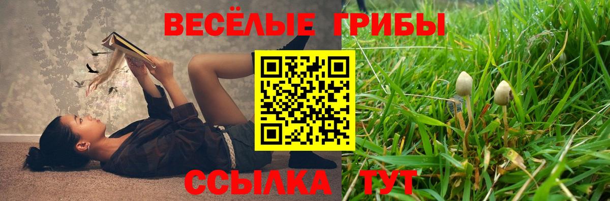 Псилоцибиновые грибы Psilocybe  Галлюциногенные грибы Psilocybe  Вход с VPN  Кольчугино 